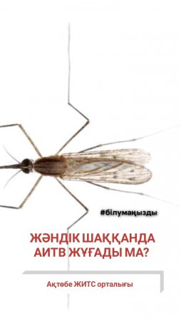 Масалардың шағуы АИТВ инфекциясына әкелуі мүмкін бе?