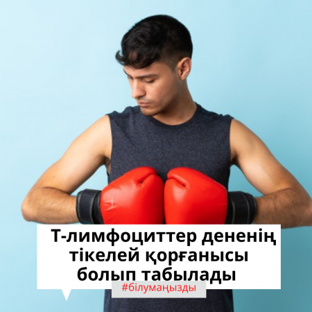 Т-лимфоциттері лимфоциттердің ең үлкен тобы болғандықтан және олардың негізгі