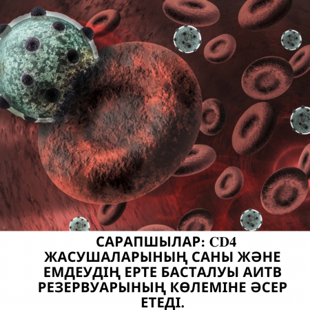 Сарапшылар: CD4 жасушаларының саны және емдеудің ерте басталуы АИТВ резервуарының көлеміне әсер етеді.