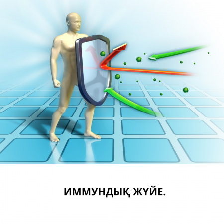 Иммундық жүйе.