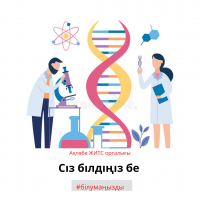 Сіз білдіңіз бе?