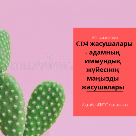 CD4 клетки – это наиболее важные клетки иммунной системы человеческого организма
