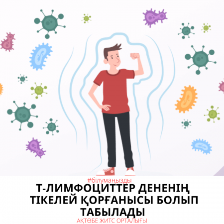 Т-лимфоциттер дененің тікелей қорғанысы болып табылады