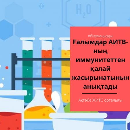 Ғалымдар АИТВ-ның иммунитеттен қалай жасырынатынын анықтады
