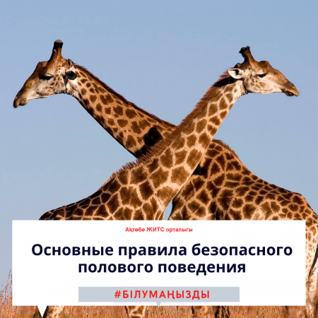 Основные правила безопасного полового поведения